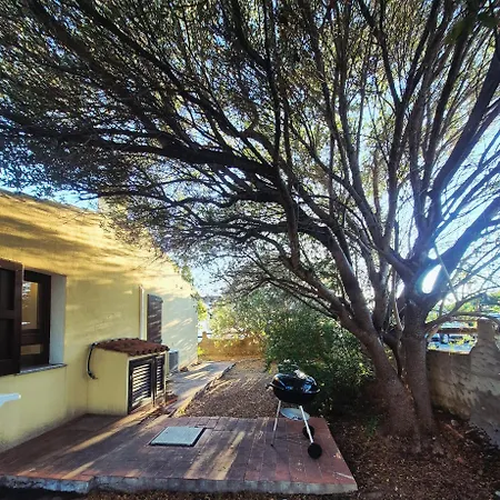 Casa Tatil Evi *