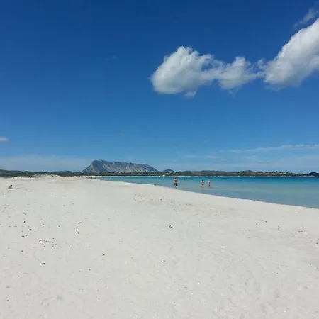 Casa Tatil Evi San Teodoro (Sardinia)